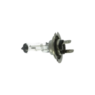 Vespa Birne PX26d H7 12 Volt 55 Watt