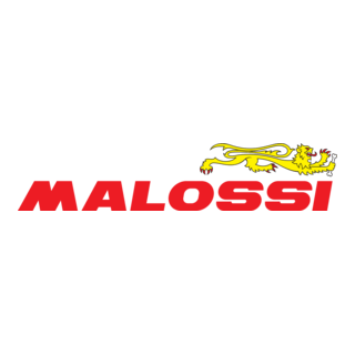 Malossi SPA, Via Roma, 118/I – 40012 Calderara di Reno, info@malossi.com