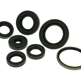 Wellendichtringsatz Motor Piaggio