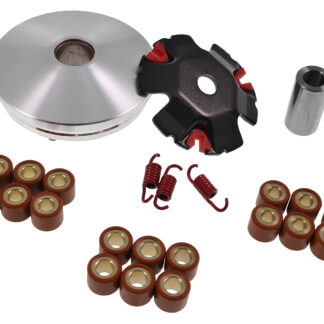 Variomatik 2EXTREME Performance 50ccm Peugeot liegend / stehend 2-Takt Variator Kit Tuning komplett kompatibel für Speedfight 2 3 4 Jet Force