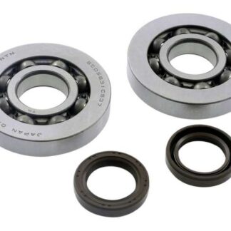 Kurbelwellenlagersatz RMS kompatibel für Aprilia SR150, Gilera Runner, Piaggio Hexagon 125-180 2-Takt
