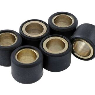 Variomatikgewichte MOTOFORCE verschiedene Größen 15x12mm - 5,80g