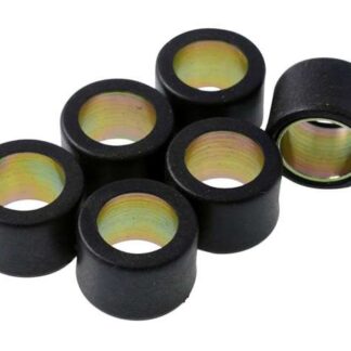 Variomatikgewichte MOTOFORCE verschiedene Größen 17X12MM - 4,60G