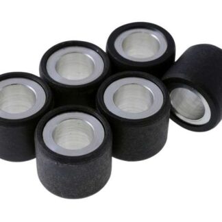 Variomatikgewichte MOTOFORCE 19x15,5mm - 6,30g