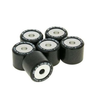 Variomatikgewichte MALOSSI HT verschiedene Größen 20x17MM - 11,50G