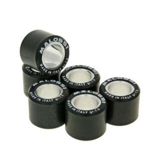 Variomatikgewichte MALOSSI HT 20x17MM - 7,00G