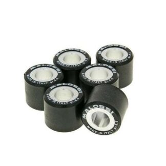 Variomatikgewichte MALOSSI HT versch. Größen 20X17MM - 8,50G