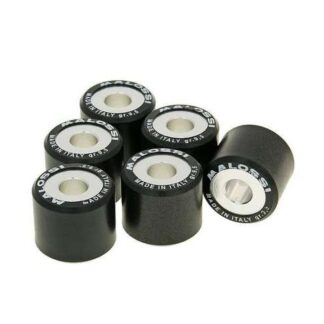 Variomatikgewichte MALOSSI HT versch. Größen 20X17MM - 9,50G