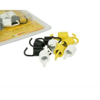 Kupplungsfedern MALOSSI für CPI 50ccm