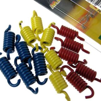 Kupplungsfedern MALOSSI für Aprilia Kymco Piaggio Maxi-Scoot