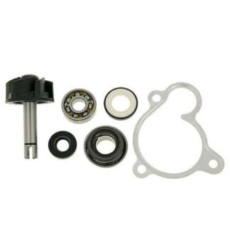 Reparaturkit Wasserpumpe 4-Takt Majesty, X-Max, X-City, Versity 250