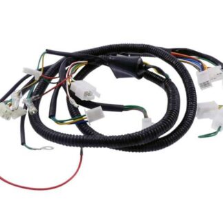 Kabelbaum für Jinlun JL50QT-5 Fighter 50 4-Takt