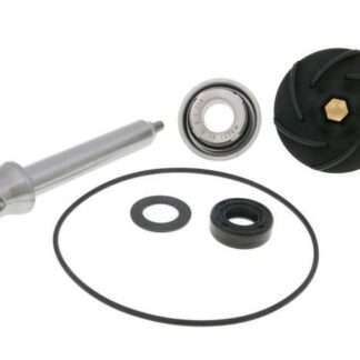 Reparaturkit Wasserpumpe für Piaggio 400, 500ccm 4-Takt 2006-