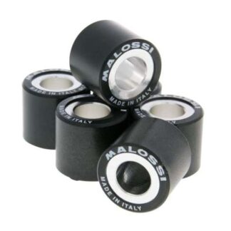 Variomatikgewichte MALOSSI HT versch. Größen 19X17MM - 7,70G