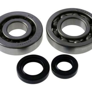 Kurbelwellenlagersatz C3 für Kymco liegend SF10 2-Takt, kompatibel für Kymco Agility, Super 8, Super 9, Top Boy, Yup Ersatz Roller Lager Set