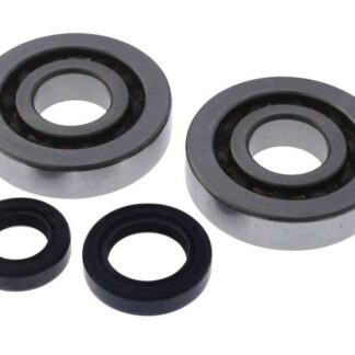 Kurbelwellenlagersatz C3 2-Takt, kompatibel für Honda Bali, SFX, SGX, SH Scoopy, X8R-S, X8R-X, BSV Ersatz Lager Roller Set