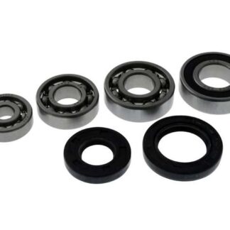Getriebelagersatz inkl. Wellendichtringe, kompatibel für Baotian, CPI, Generic, Keeway, Rex, CPI Euro 2 Motoren Roller, Moped