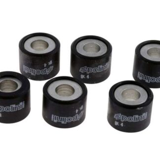 Variomatikgewichte POLINI verschiedene Größen 16x13MM - 4,0G