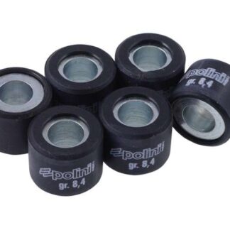 Variomatikgewichte POLINI versch. Größen 16X13MM - 8,4G