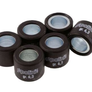 Variomatikgewichte POLINI verschiedene Größen 16X13MM - 6,3G