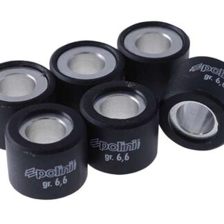 Variomatikgewichte POLINI versch. Größen 19X15,5MM - 6,6G