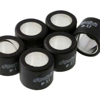 Variomatikgewichte POLINI versch. Größen 19X15,5MM - 3,2G