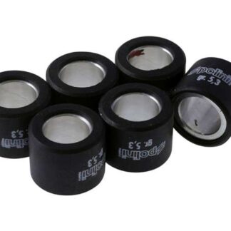 Variomatikgewichte POLINI verschiedene Größen 19x15,5mm - 5,3G