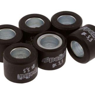 Variomatikgewichte POLINI versch. Größen 15X12MM - 5,5G