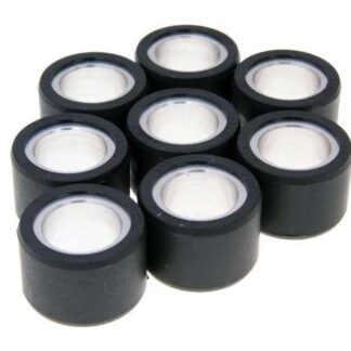 Variomatikgewichte POLINI versch. Größen 25X17MM - 14,0G