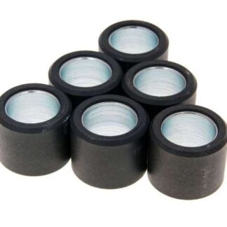 Variomatikgewichte POLINI versch. Größen 20X17MM - 11,8G