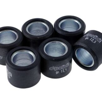 Variomatikgewichte POLINI verschiedene Größen 20X17MM - 12,5G