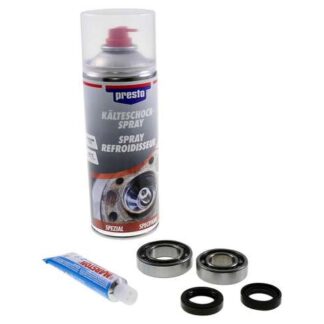 Kurbelwellenlagersatz für Honda mit Dichtmasse, Kältespray