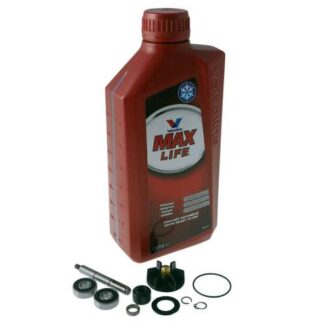 Wasserpumpenset mit Kühlflüssigkeit für Piaggio