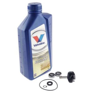 Reparaturkit Wasserpumpe mit Kühlflüssigkeit für Minarelil