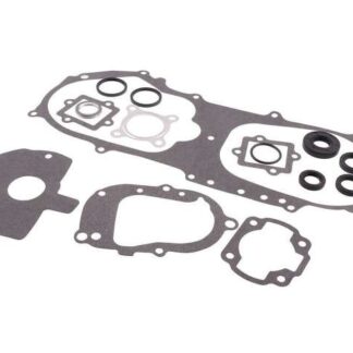 Motor Dichtsatz mit Wellendichtringsatz Minarelli liegend AC