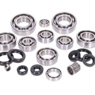 Lagersatz Motor 2EXTREME 2-Takt kompatibel für Rotax 122ccm, Aprilia RS, RX, SX, 125ccm Ersatz Moped Lager Set