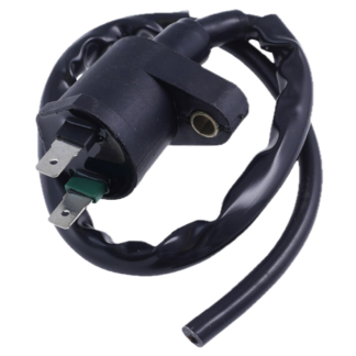 Zündspule 12Volt 2-Takt / 4-Takt 2-Pin 50ccm China GY6 SCORPEX Benero Adventure