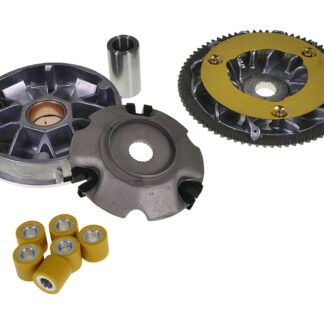 Variomatik Kit mit Riemenscheibe, Varioplatte, Gewichte, Hülse und Gleitschuhen kompatibel für Piaggio 125-150ccm Leader 4T Set Satz