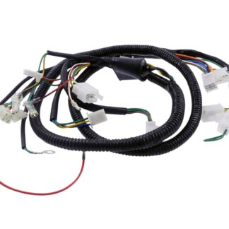 Kabelbaum für Jinlun JL50QT-5 Fighter 50 4-Takt