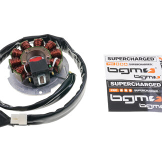 Zündung Grundplatte BGM ORIGINAL für Piaggio 125-180 2-Takt