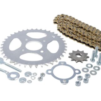 Kettensatz IGM 16-teilig 415er Teilung 40 11 Zähne Hercules Sachs Prima 50 Motor Set Kettenspanner Sicherungsblech