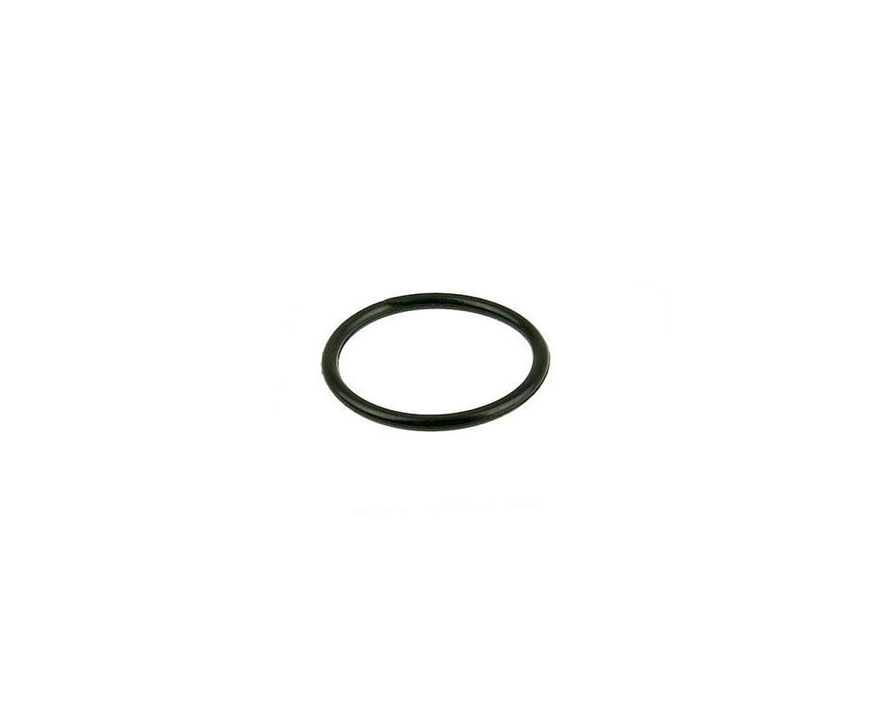 O-Ring für Isolator Schwinn Hope 50 4T AC, Laguna 50 4T AC, Newport 50 1 O-Ring für Isolator Schwinn Hope 50 4T AC, Laguna 50 4T AC, Newport 50