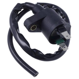 Zündspule 12Volt 2-Takt / 4-Takt 2-Pin 50ccm China GY6 WACHMANN AGM Motors Fire