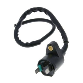 Zündspule 12V 2-Pin WACHMANN für Adly ATV, AirTec, Blizzard, Cat Jet, Matador, Mirage 2-Takt & 4-Takt